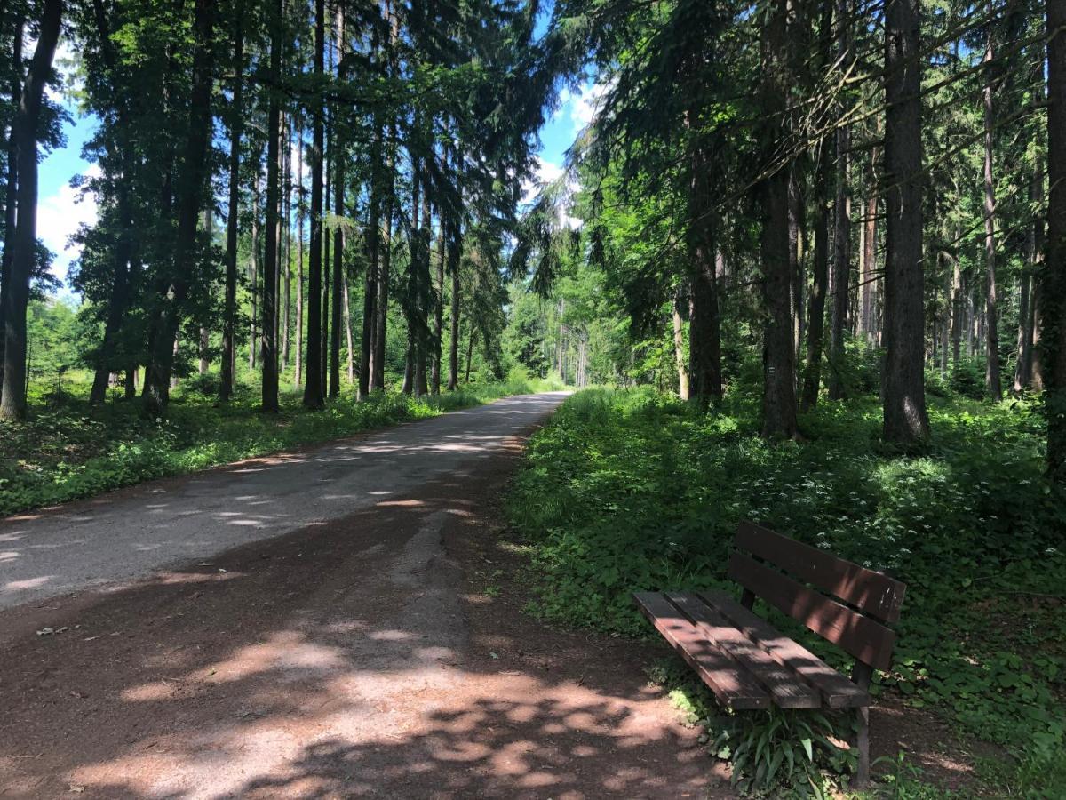 Apartmany Jevany Bagian luar foto